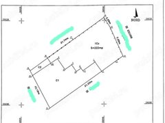 Ramuri Tei, vand teren cu suprafata de 218 mp